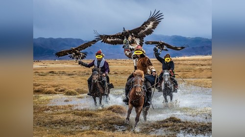 Израильские туристы подверглись нападению с топорами и ножами в монгольском лагере, один человек ранен