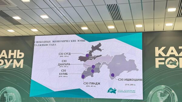 Таджикские СЭЗ хотят сотрудничать с российскими компаниями
