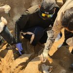 Загадки Великой степи: археологи переписывают историю хунну в Монголии