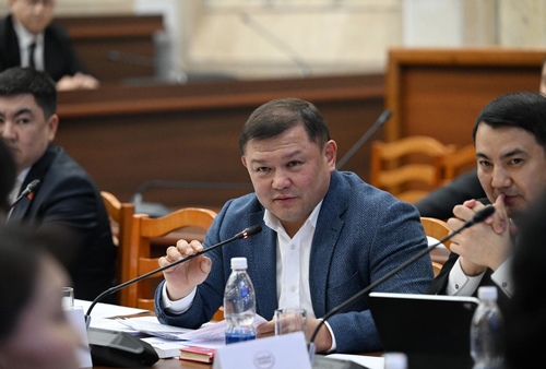 Кабмин принял решение предоставлять дизтопливо фермерам по льготной цене 81 сомов/литр, - депутат