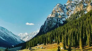 Работников сферы охраны окружающей среды поздравили с профессиональным праздником