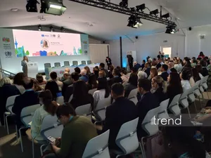 В рамках WUF13 проходит панельная сессия на тему "Творческие города ЮНЕСКО и устойчивое городское развитие"