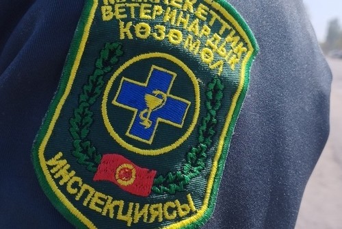 Кабмин утвердил порядок регистрации объектов ветеринарного надзора в цифровом реестре