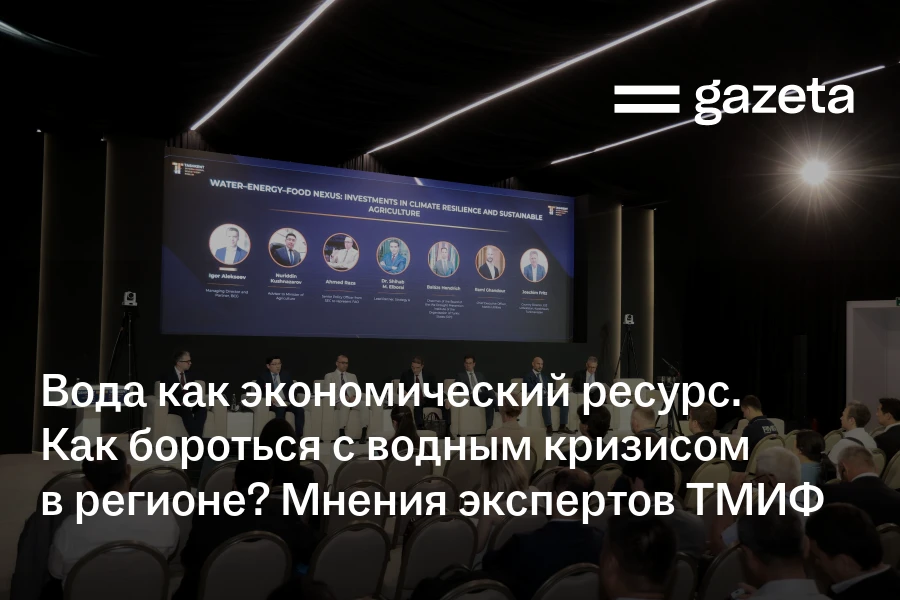 Вода как экономический ресурс. Как бороться с водным кризисом в регионе? Мнения экспертов ТМИФ
