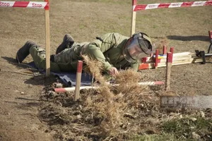 ANAMA: В июле от мин очищено более 8 тыс. га освобожденных территорий