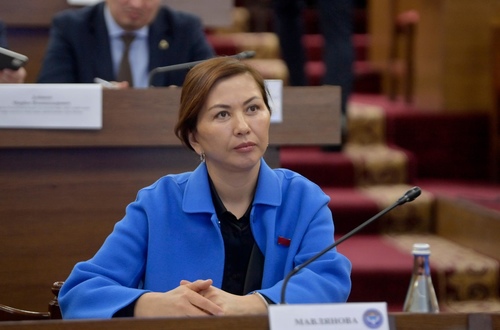 Депутат подняла вопрос о трудоустройстве местных жителей на цементном заводе в Кызыл-Кие