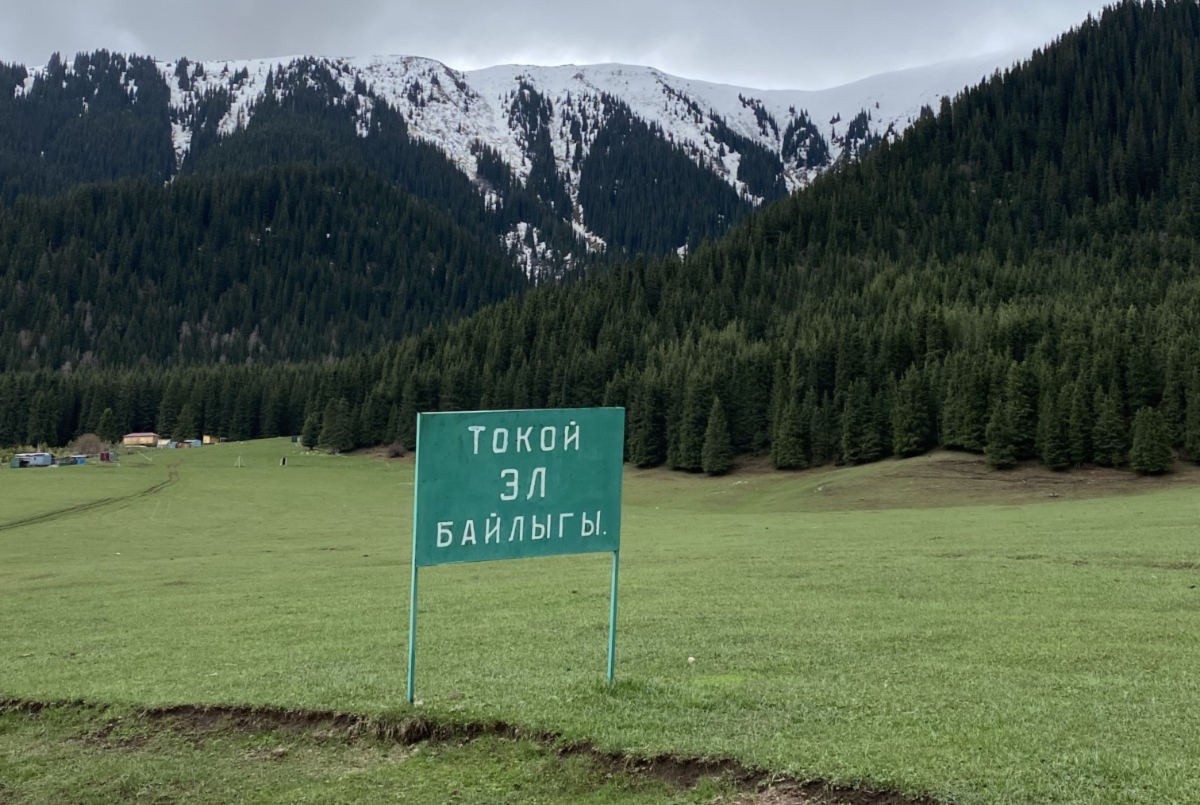 Экс-директора Тюпского лесхоза обвинили в незаконной передаче земель родственникам