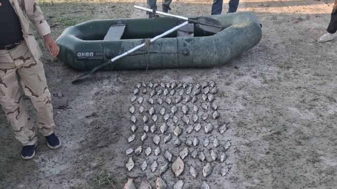 На Ала-Арчинском водохранилище поймали рыбаков-браконьеров