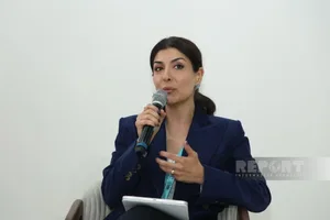 Нигяр Арпадараи: Жилищный кризис затронул и развитые страны