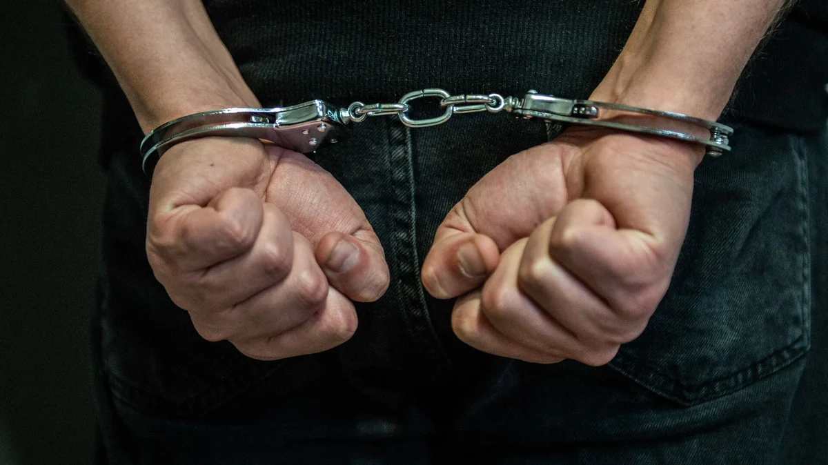 МВД: В Азербайджане задержаны 60 подозреваемых в совершении преступлений