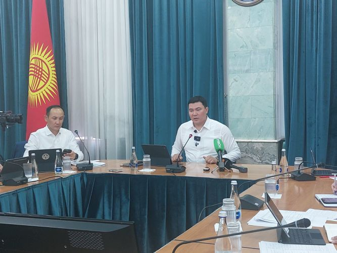 Деревья падают, страдают люди и автомобили, - глава Минприроды прокомментировал вырубку в Бишкеке