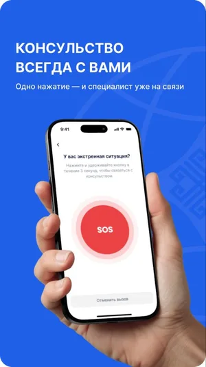 В помощь кыргызстанцам. МИД запустил мобильное приложение «Электронный консул»