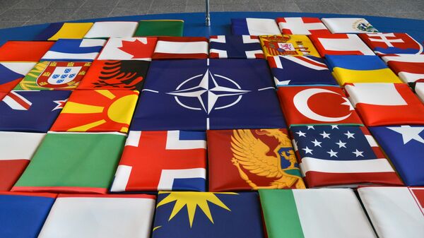 Украина — НАТО: точка невозврата