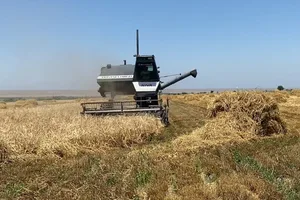 Кыргызстан вошел в тройку стран ЕАЭС по росту сельхозпроизводства