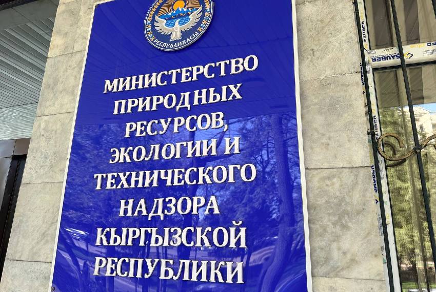 Цифровизация экологии: Минприроды Кыргызстана создаст три новые инфосистемы