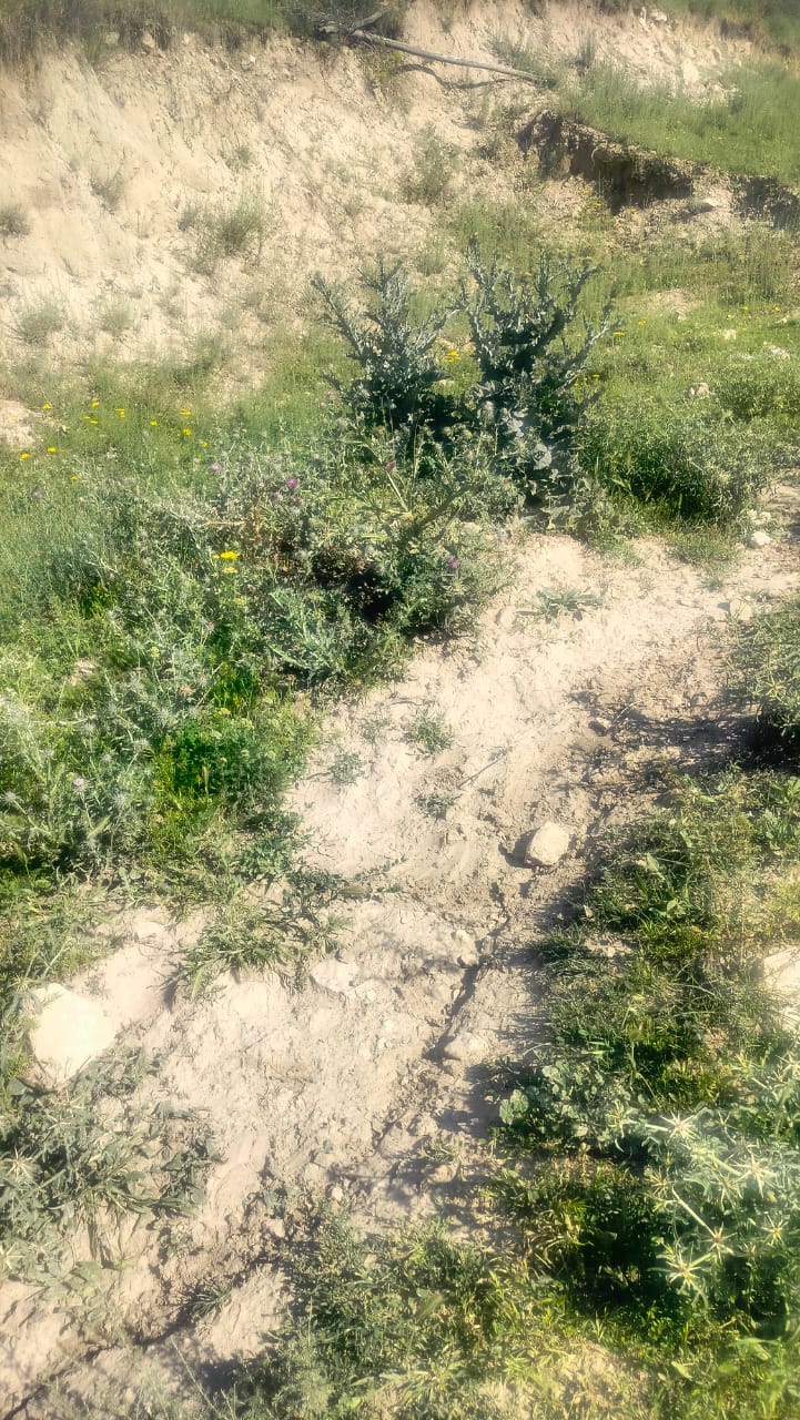 Жителя Баткенской области оштрафовали за строительство двора на пастбище