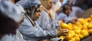 Загрязненные продукты питания ежегодно становятся причиной 1,5 миллиона смертей